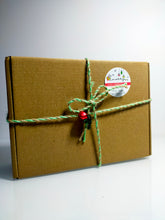 Load image into Gallery viewer, Bee Safe Gift Pack